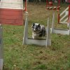 foire-haricots 2011-09-17et18